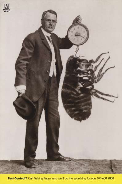 PEST CONTROL